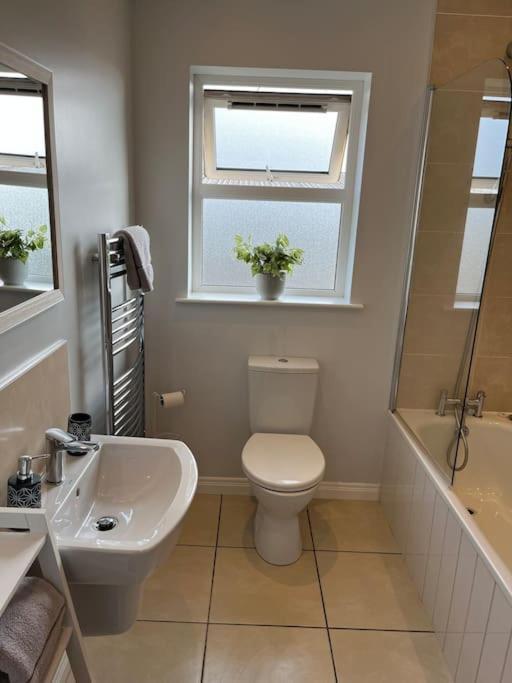 Corran Mews Apartment Larne Exterior photo